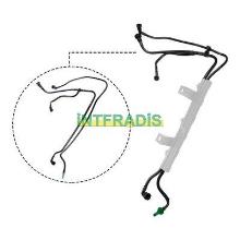 INTFRADIS 10248